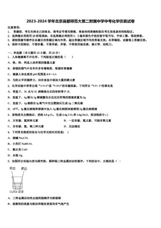 2023-2024学年北京首都师范大第二附属中学中考化学仿真试卷含解析.doc