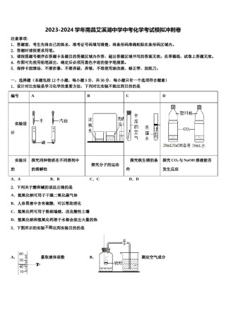 2023-2024学年南昌艾溪湖中学中考化学考试模拟冲刺卷含解析.doc
