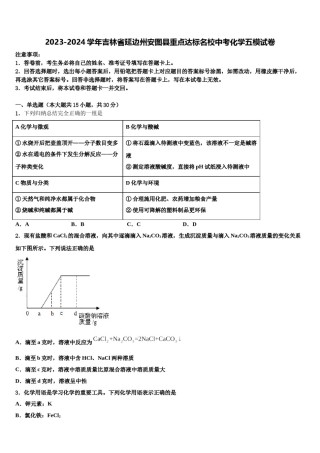 2023-2024学年吉林省延边州安图县重点达标名校中考化学五模试卷含解析.doc