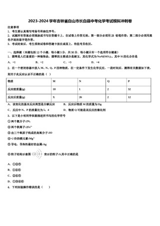 2023-2024学年吉林省白山市长白县中考化学考试模拟冲刺卷含解析.doc