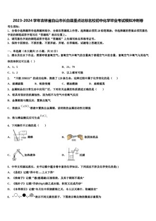 2023-2024学年吉林省白山市长白县重点达标名校初中化学毕业考试模拟冲刺卷含解析.doc