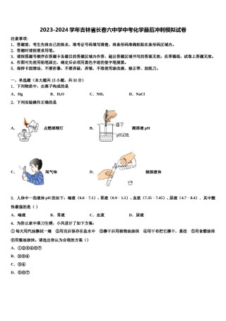 2023-2024学年吉林省长春六中学中考化学最后冲刺模拟试卷含解析.doc