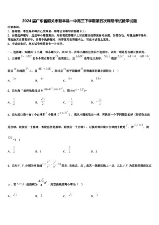 2024届广东省韶关市新丰县一中高三下学期第五次调研考试数学试题含解析.doc