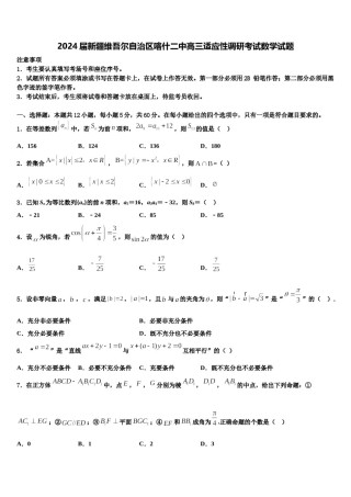 2024届新疆维吾尔自治区喀什二中高三适应性调研考试数学试题含解析.doc