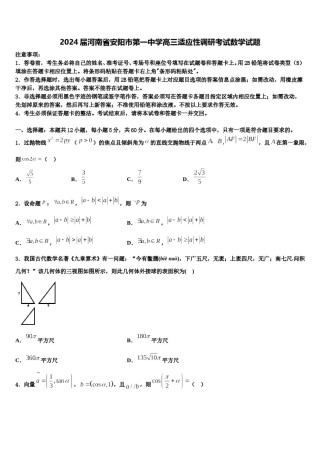 2024届河南省安阳市第一中学高三适应性调研考试数学试题含解析.doc