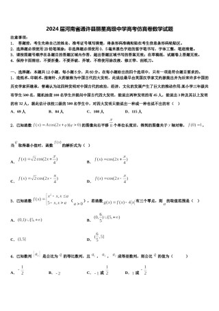 2024届河南省通许县丽星高级中学高考仿真卷数学试题含解析.doc