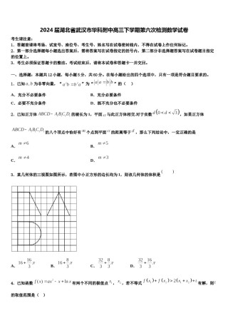 2024届湖北省武汉市华科附中高三下学期第六次检测数学试卷含解析.doc