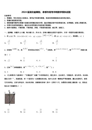 2024届湖北省襄阳、孝感市高考冲刺数学模拟试题含解析.doc