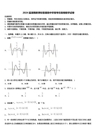 2024届湖南新课标普通高中学高考仿真卷数学试卷含解析.doc