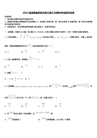 2024届湖南省岳阳市高三第三次模拟考试数学试卷含解析.doc