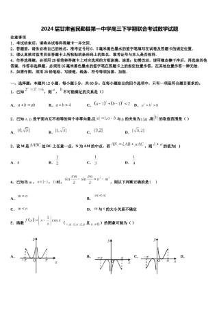 2024届甘肃省民勤县第一中学高三下学期联合考试数学试题含解析.doc
