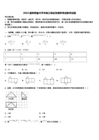 2024届陕西省兴平市高三适应性调研考试数学试题含解析.doc