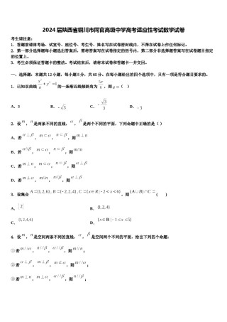 2024届陕西省铜川市同官高级中学高考适应性考试数学试卷含解析.doc