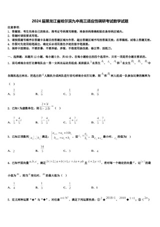 2024届黑龙江省哈尔滨九中高三适应性调研考试数学试题含解析.doc