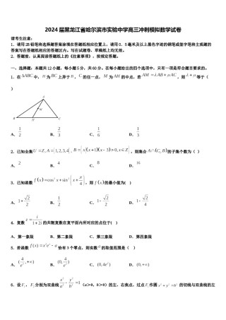 2024届黑龙江省哈尔滨市实验中学高三冲刺模拟数学试卷含解析.doc