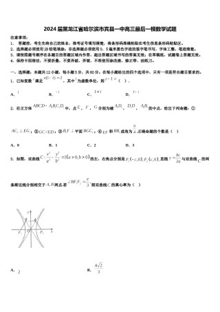 2024届黑龙江省哈尔滨市宾县一中高三最后一模数学试题含解析.doc