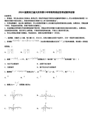 2024届黑龙江省大庆市第十中学高考适应性考试数学试卷含解析.doc