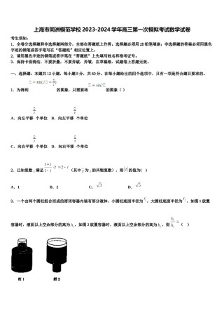 上海市同洲模范学校2023-2024学年高三第一次模拟考试数学试卷含解析.doc