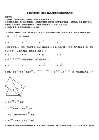 上海市奉贤区2024届高考冲刺模拟数学试题含解析.doc