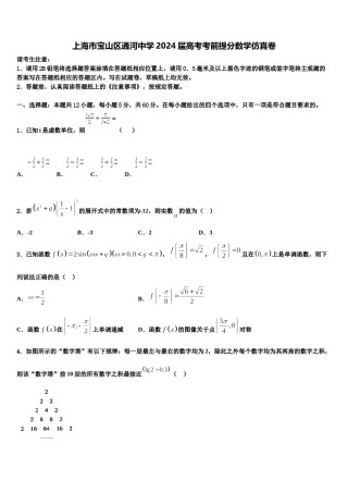 上海市宝山区通河中学2024届高考考前提分数学仿真卷含解析.doc