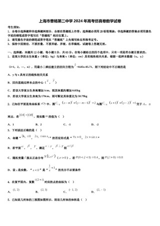 上海市曹杨第二中学2024年高考仿真卷数学试卷含解析.doc