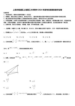 上海市杨浦区上海理工大学附中2024年高考仿真模拟数学试卷含解析.doc