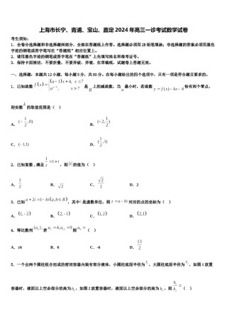 上海市长宁、青浦、宝山、嘉定2024年高三一诊考试数学试卷含解析.doc