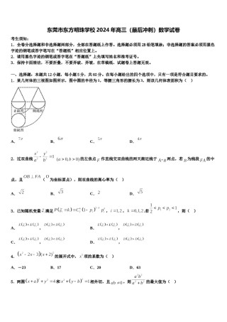东莞市东方明珠学校2024年高三（最后冲刺）数学试卷含解析.doc