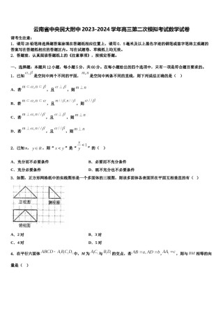 云南省中央民大附中2023-2024学年高三第二次模拟考试数学试卷含解析.doc