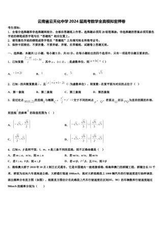 云南省云天化中学2024届高考数学全真模拟密押卷含解析.doc
