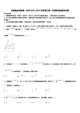 云南省会泽县第一中学2023-2024学年高三第一次调研测试数学试卷含解析.doc