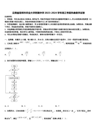云南省昆明市农业大学附属中学2023-2024学年高三考前热身数学试卷含解析.doc