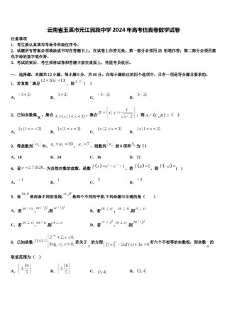 云南省玉溪市元江民族中学2024年高考仿真卷数学试卷含解析.doc
