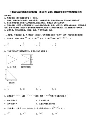 云南省玉溪市峨山彝族自治县一中2023-2024学年高考适应性考试数学试卷含解析.doc