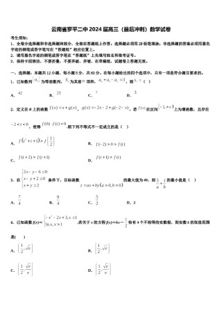 云南省罗平二中2024届高三（最后冲刺）数学试卷含解析.doc