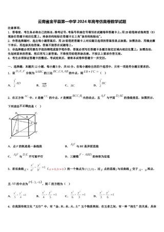 云南省金平县第一中学2024年高考仿真卷数学试题含解析.doc