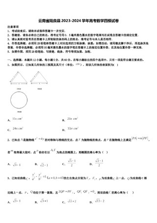 云南省陆良县2023-2024学年高考数学四模试卷含解析.doc