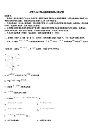 北京九中2024年高考数学必刷试卷含解析.doc