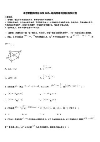 北京朝阳陈经纶中学2024年高考冲刺模拟数学试题含解析.doc