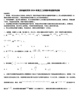 吉林省蛟河市2024年高三二诊模拟考试数学试卷含解析.doc
