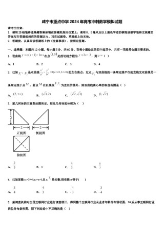 咸宁市重点中学2024年高考冲刺数学模拟试题含解析.doc