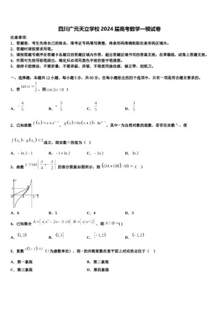 四川广元天立学校2024届高考数学一模试卷含解析.doc