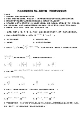 四川成都实验中学2024年高三第一次模拟考试数学试卷含解析.doc