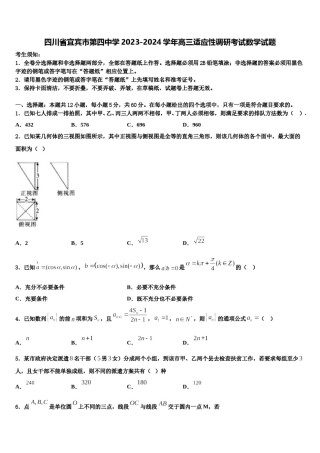 四川省宜宾市第四中学2023-2024学年高三适应性调研考试数学试题含解析.doc