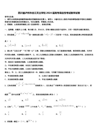 四川省泸州市合江天立学校2024届高考适应性考试数学试卷含解析.doc
