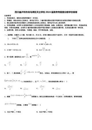 四川省泸州市龙马潭区天立学校2024届高考考前提分数学仿真卷含解析.doc