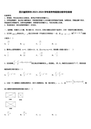 四川省阿坝市2023-2024学年高考考前提分数学仿真卷含解析.doc