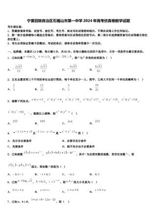 宁夏回族自治区石嘴山市第一中学2024年高考仿真卷数学试题含解析.doc