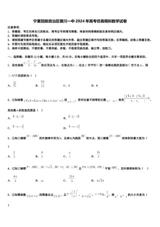 宁夏回族自治区银川一中2024年高考仿真模拟数学试卷含解析.doc