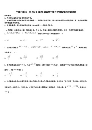 宁夏石嘴山一中2023-2024学年高三第五次模拟考试数学试卷含解析.doc